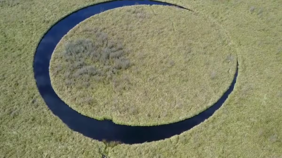 Una isla en el Delta del Paraná que gira sola desata curiosidad y misterio en Buenos Aires