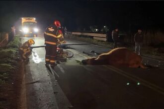 ACCIDENTE 41