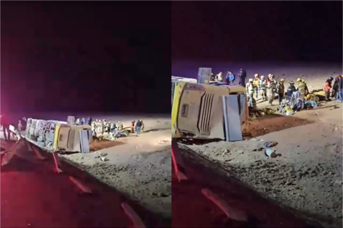 IMG 20250701 204053 (1201 x 800 píxel)