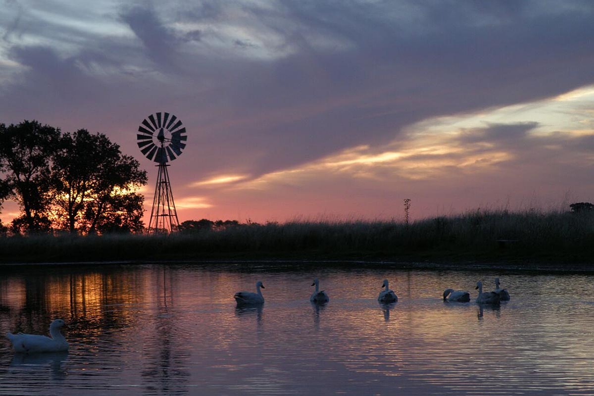 IMG 20250702 214820 (1200 x 800 píxel)