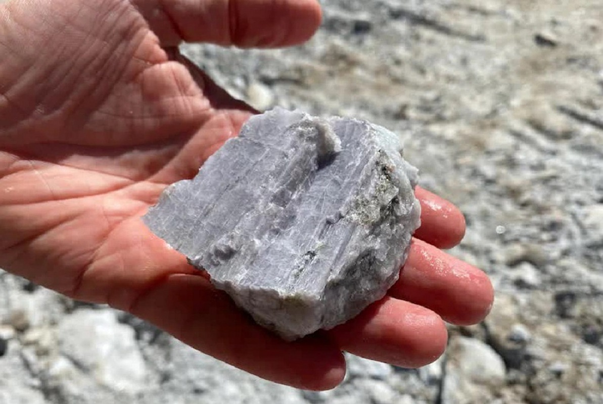 IMG 20250706 155701 (1193 x 800 píxel)