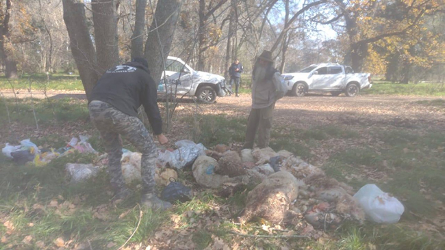 IMG 20250709 112253 (1421 x 800 píxel)