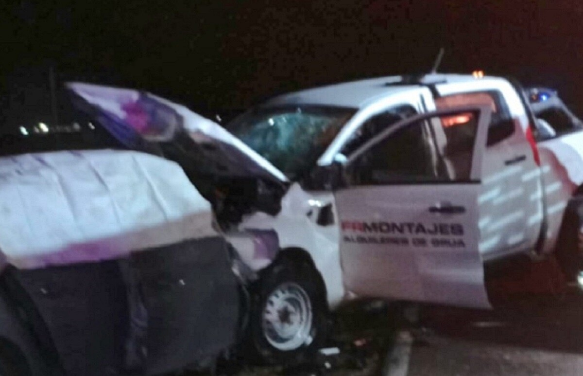 IMG 20250729 193640 (1200 x 773 píxel)