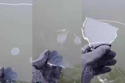 laguna chascomus congelada