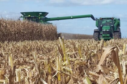 Milei anunció hoy baja definitiva de retenciones para granos y carne en la Rural