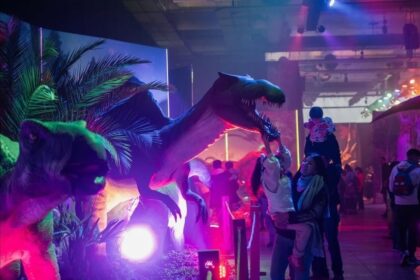 Tragedia en Vicente López: mujer embarazada muere en parque de diversiones, beba está grave