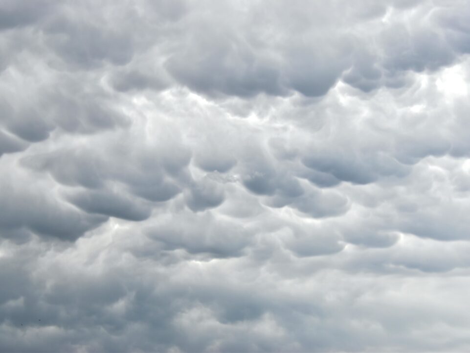 La Plata enfrenta un sábado fresco con cielo despejado y vientos de hasta 22 km/h