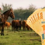 Escala salarial UATRE 2025: cuánto cobro en Noviembre