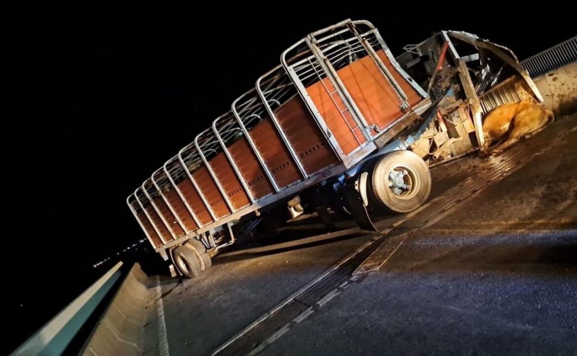 8aaa7be5 3f4e 4580 ada9 b893e9c47963