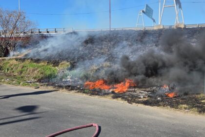 Incendios en el Delta del Paraná: investigan maniobras intencionales detrás de los focos