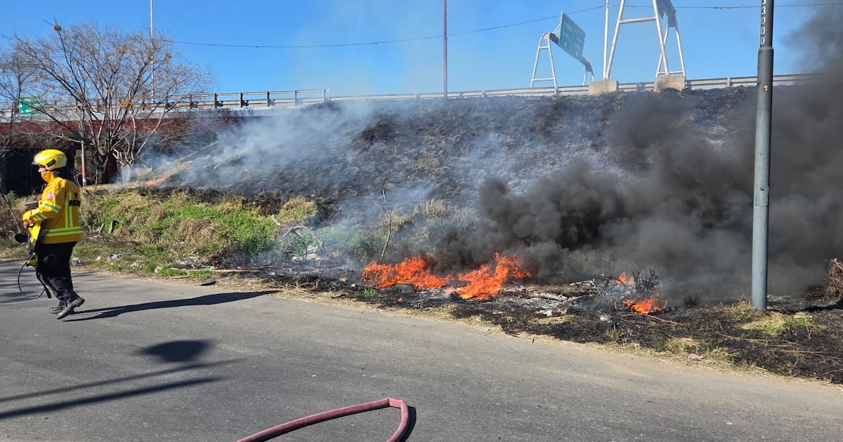 Incendios en el Delta del Paraná: investigan maniobras intencionales detrás de los focos