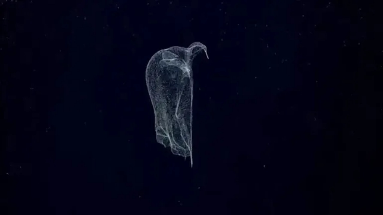 IMG 20250810 154017 (1280 x 720 píxel)