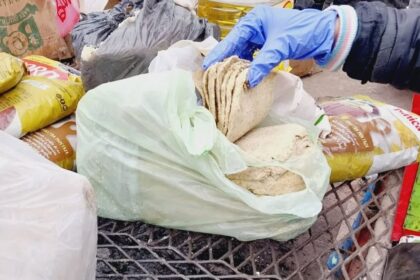 IMG 20250816 165920 (1280 x 812 píxel)