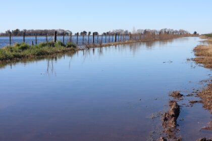 Intensas lluvias amplifican crisis agrícola en Buenos Aires y afectan caminos rurales
