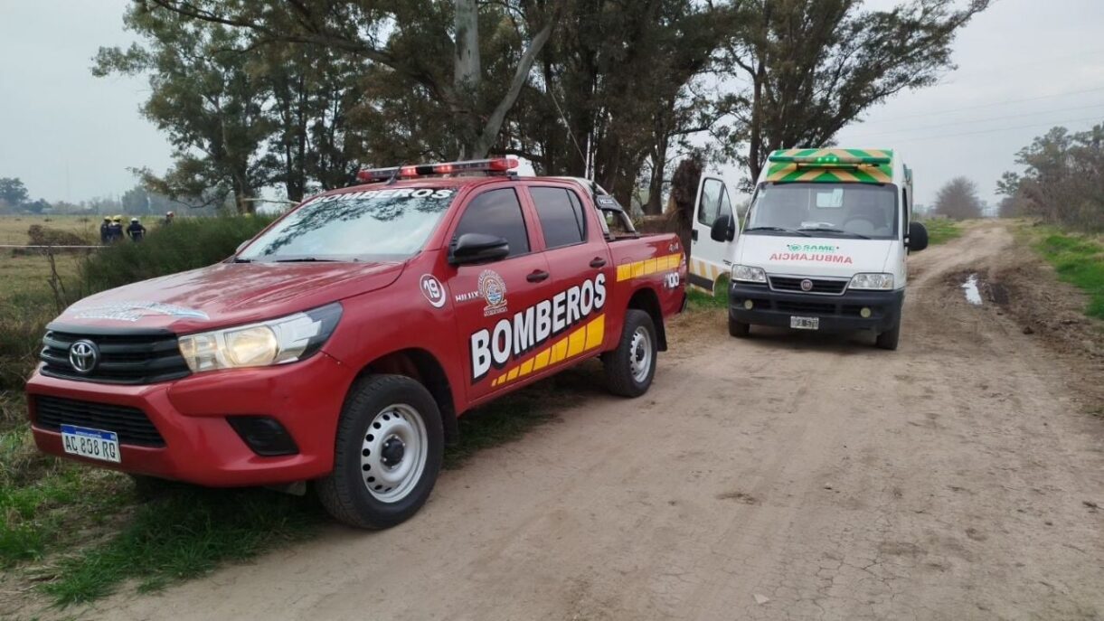 arbol hombre suipacha