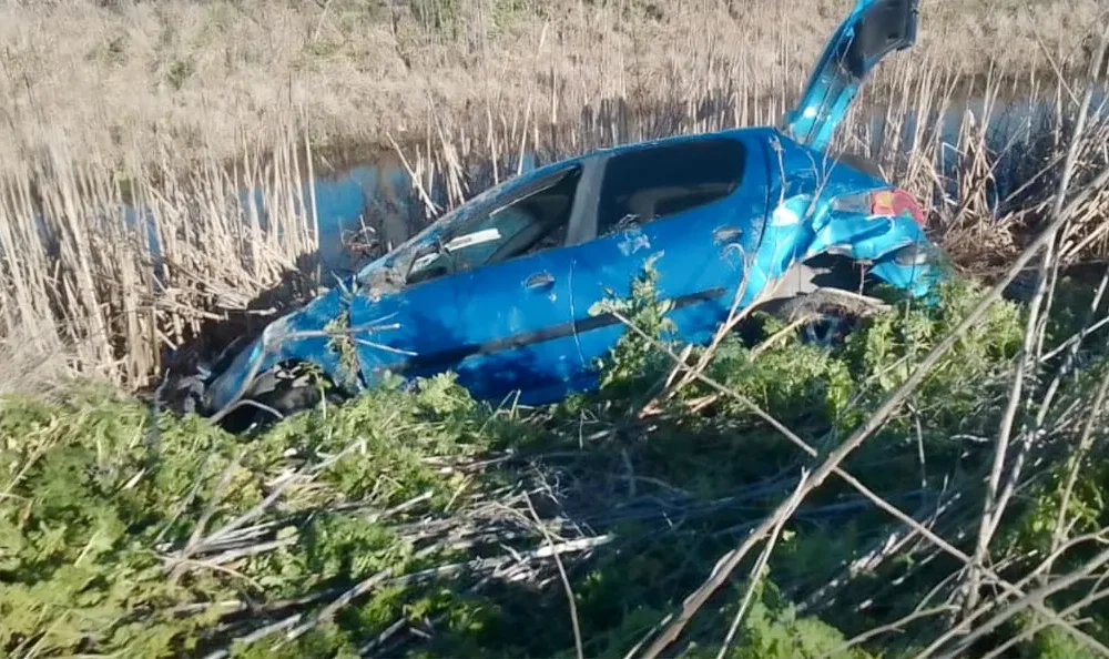 Carpincho provoca vuelco en ruta de Azul y deja tres hombres heridos en pleno domingo