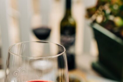 Un viaje de lujo a las bodegas de Mendoza genera polémica por su costo: $15 millones