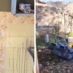 Video: así es la casa del horror donde hallaron a las tres jóvenes asesinadas