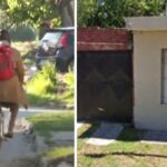 Insólito: un hombre ingresó a robar en la casa del triple crimen y quedó registrado por las cámaras