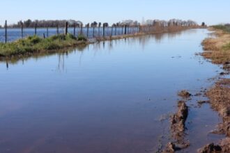 Inundaciones en buenos aires afectan a más de 3 millones de hectáreas y la vida rural se complica