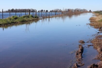 Inundaciones en buenos aires afectan a más de 3 millones de hectáreas y la vida rural se complica