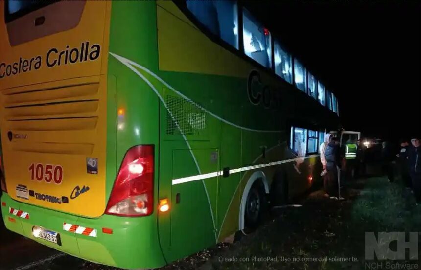 micro costera criolla