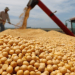 Se agotó el cupo de USD 7.000 millones en exportaciones con 0% de retenciones
