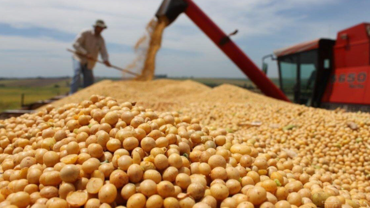 Se agotó el cupo de USD 7.000 millones en exportaciones con 0% de retenciones