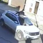 Inhabilitan de por vida a mujer que arrastró a un joven sobre el capot de su auto en La Plata