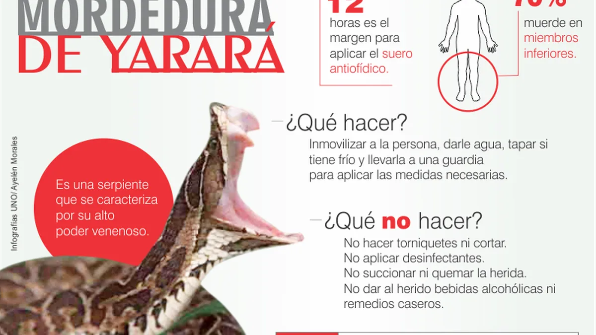 4yarara
