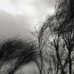 Se viene un domingo ventoso: alerta amarillo en toda la provincia de buenos aires