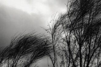 Alerta amarilla por vientos fuertes en la región: recomendaciones para hoy y mañana