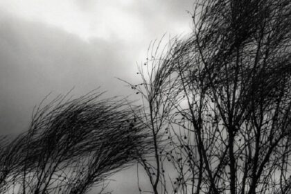 Alerta amarilla por vientos fuertes en la región: recomendaciones para hoy y mañana