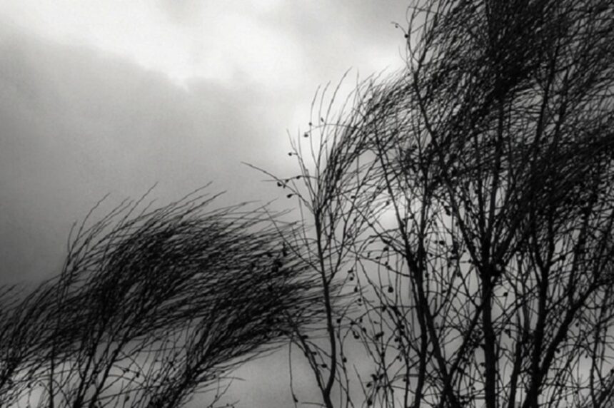 Alerta amarilla por vientos fuertes en la región: recomendaciones para hoy y mañana