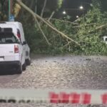 Fuerte tormenta en Junín dejó techos volados, árboles caídos y cortes de luz en varios barrios