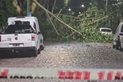 junin temporal
