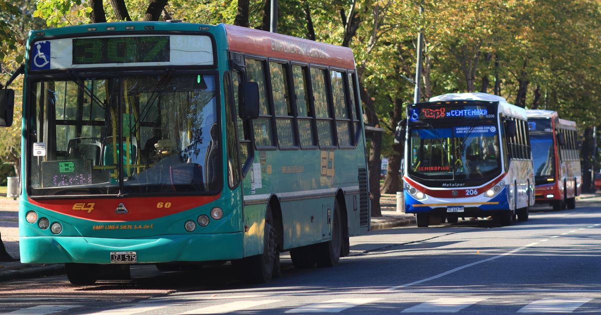 Aumentan las tarifas de micros en La Plata: desde $624,14 a $833,18 desde noviembre