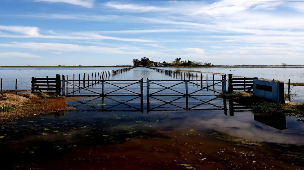 Emergencia agropecuaria: el Gobierno declaró desastre por inundaciones en Buenos Aires