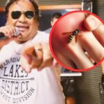 Diseño sin título 20251117 234133 0000