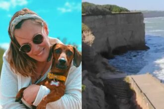 Diseño sin título 20251127 151708 0000