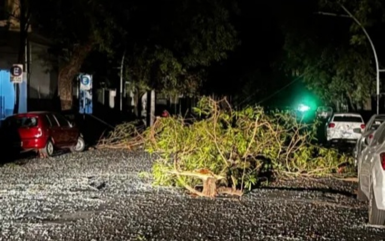 IMG 20251121 075033 (1280 x 801 píxel)