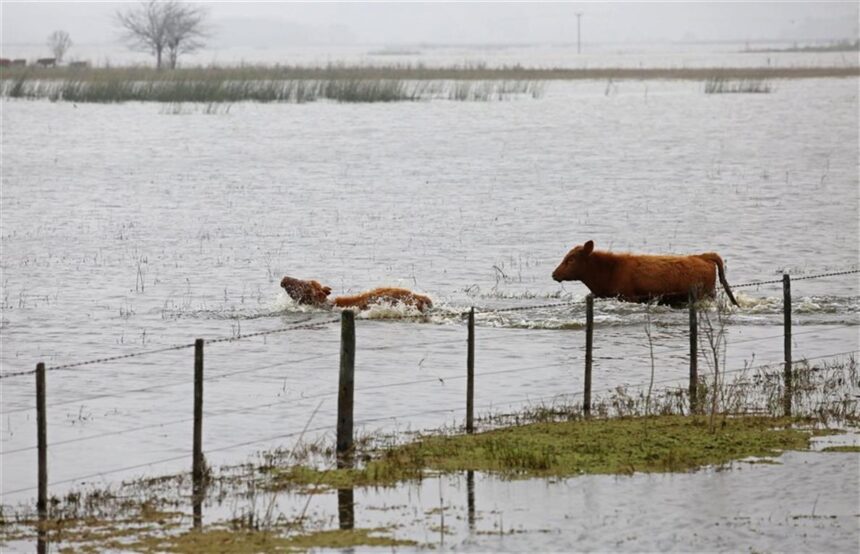 El Gobierno Nacional despliega ayuda en 9 de Julio por inundaciones que alarman a la provincia