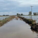 Temporal golpea el interior de la Provincia de Buenos Aires: más de 110 mm en pocas horas