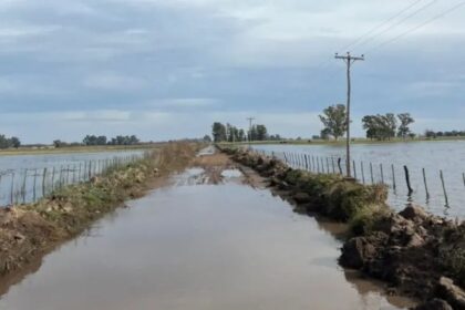 Temporal deja serios daños en campos de Buenos Aires: más de 110 mm en pocas horas