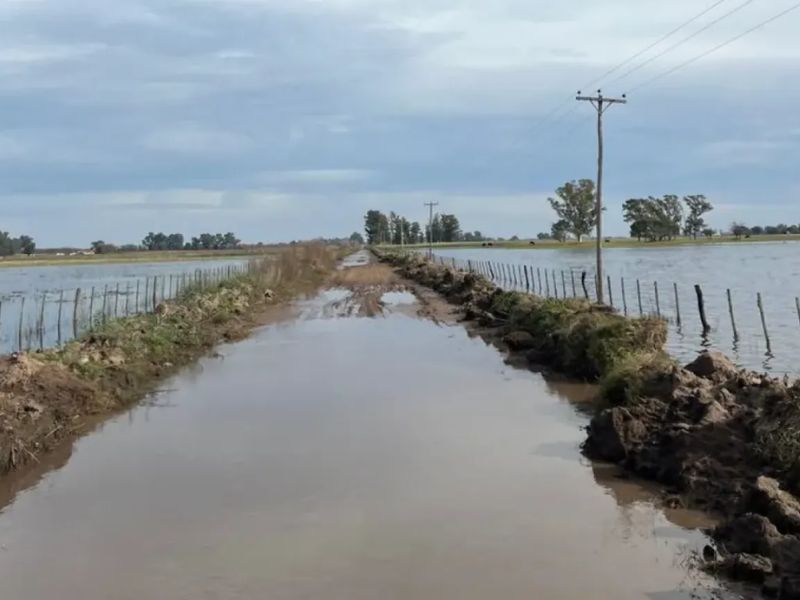 Temporal deja serios daños en campos de Buenos Aires: más de 110 mm en pocas horas