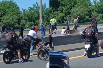 Nene de 11 años murió atropellado al intentar cruzar la autopista Buenos Aires-La Plata