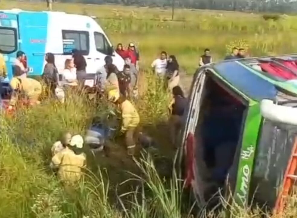 Screenshot 20251125 085633 Gallery