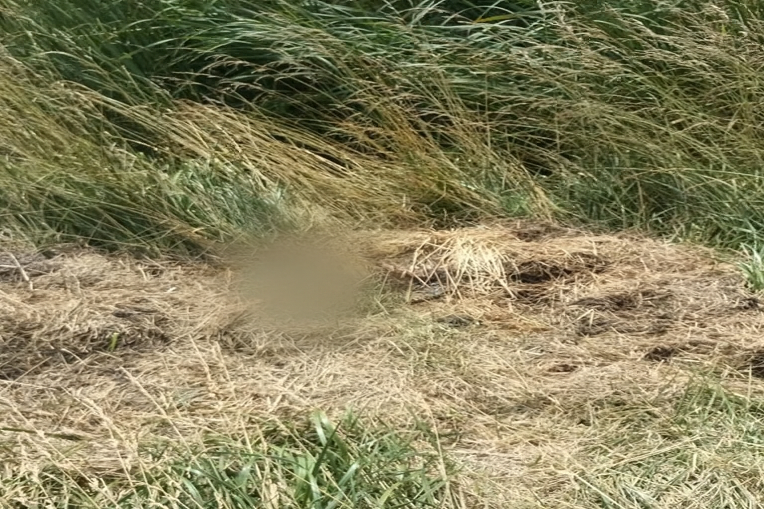 hallazgo cadaver ruta 3 cañuelas