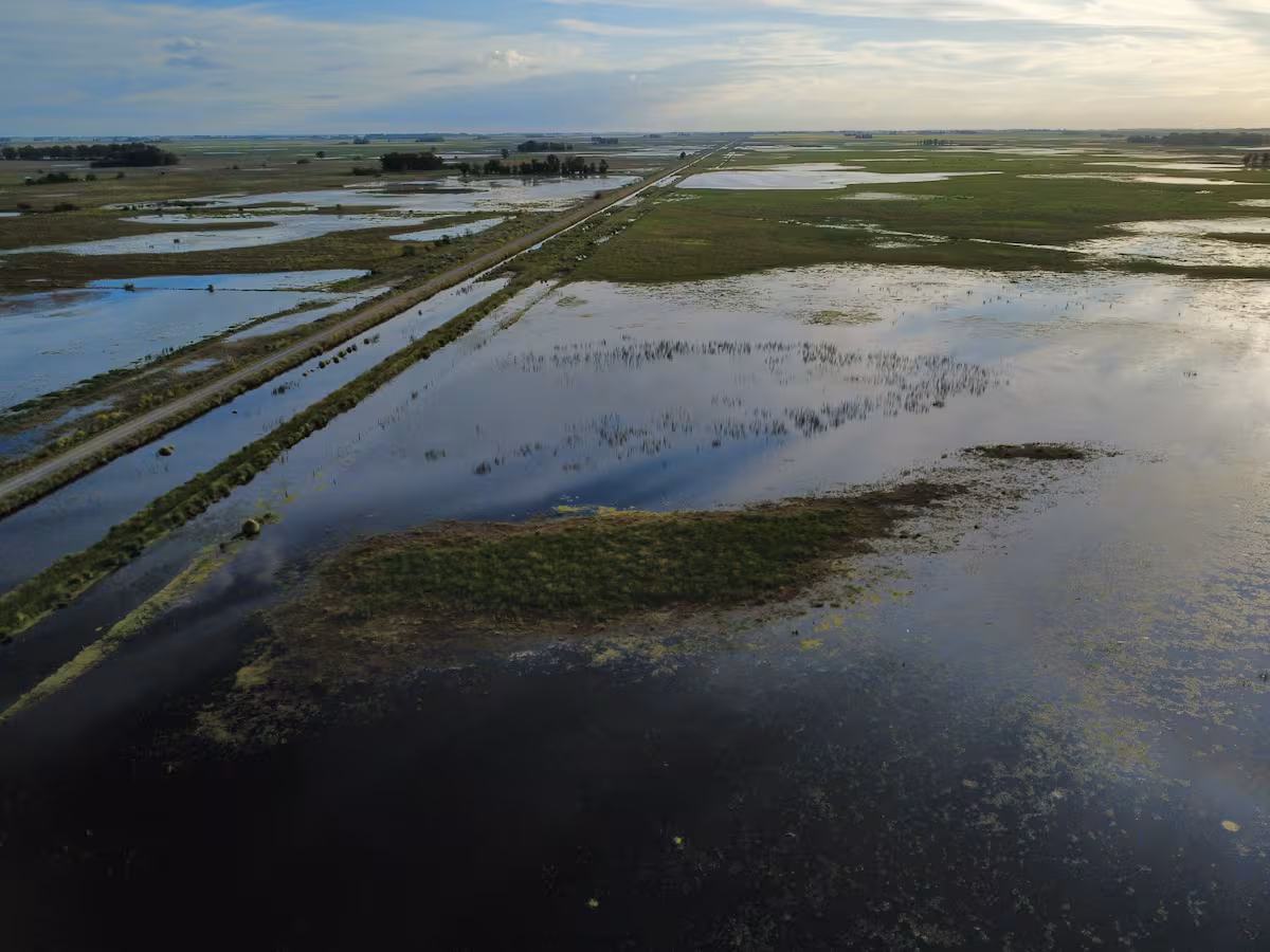 Banco Nación lanzó créditos para apoyar a productores afectados por inundaciones en Provincia de Buenos Aires