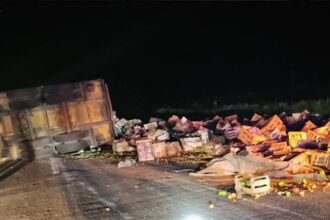 vuelco camion ruta 2